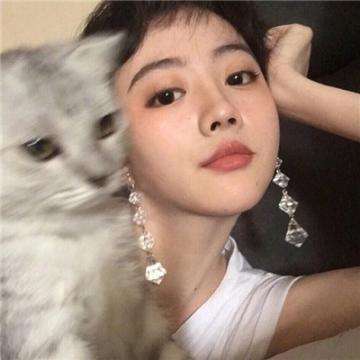龙泣游戏下载