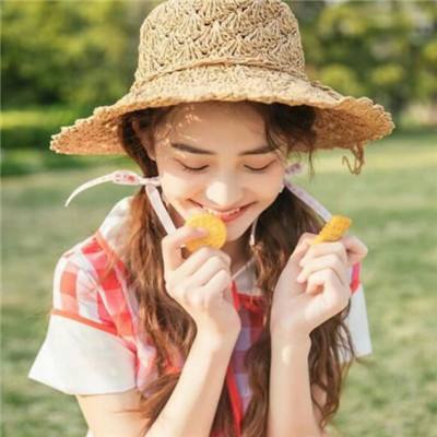 机战王洛洛历险记游戏下载
